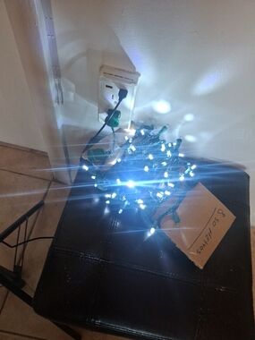 Cool White LED String Lights with Green Cord